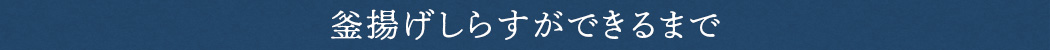 釜揚げしらすができるまで