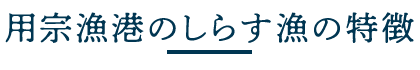 用宗漁港のしらす漁の特徴